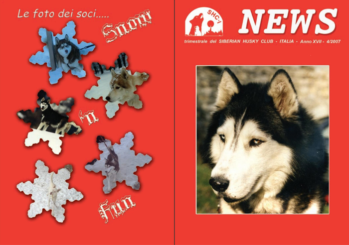 Magazine Design - SHC-I News